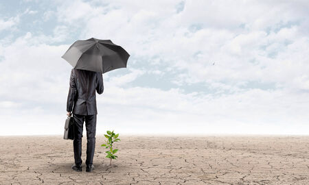 Rear view of businessman with umbrella protecting sproutの写真素材