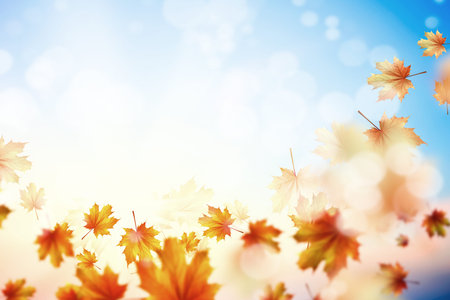 Conceptual image with colorful leaves flying in airの写真素材