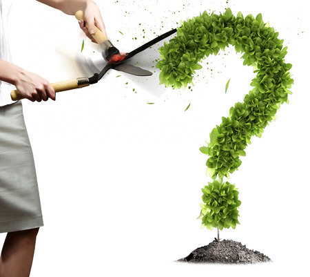 Young businesswoman cutting plant shaped like question markの写真素材