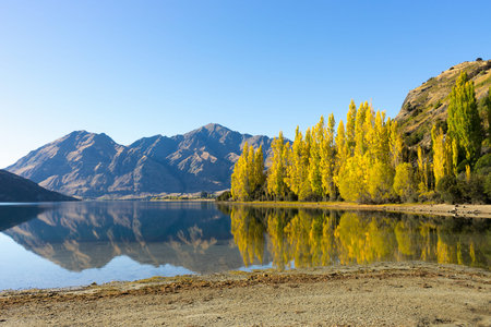 Natural landscape of New Zealand alps and lake