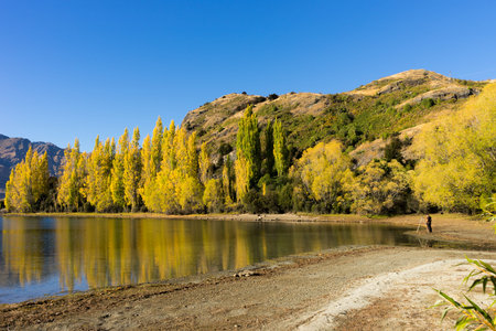 Natural landscape of New Zealand alps and lake