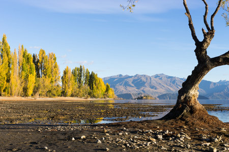 Natural landscape of New Zealand alps and lakeの写真素材