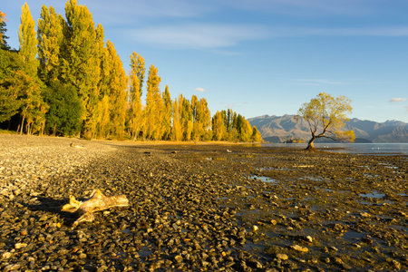 Natural landscape of New Zealand alps and lakeの写真素材