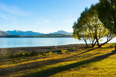Natural landscape of New Zealand alps and lake
