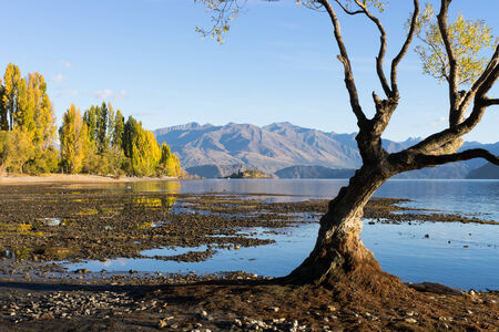 Natural landscape of New Zealand alps and lakeの写真素材