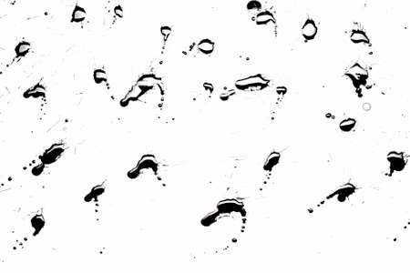 Abstract image with splashes of black paint on white の写真素材