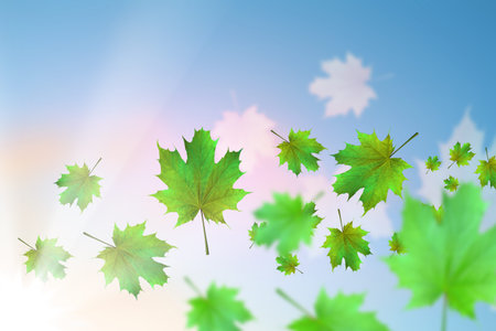 conceptual image with autumn falling leaves