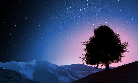Natural scene with silhouette of tree against sunset light