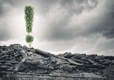 Conceptual image with exclamation mark growing on ruinsの写真素材