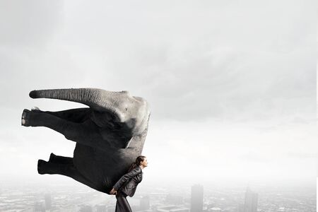 Businesswoman carrying huge elephant on her backの写真素材