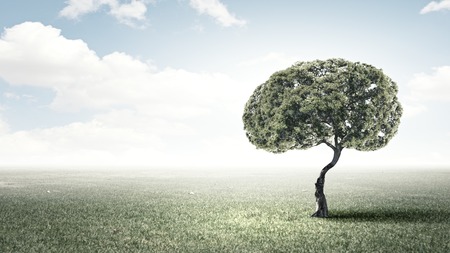 Conceptual image of green tree shaped like brainの写真素材