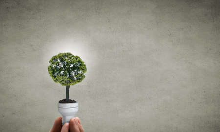 Close up of hand holding light bulb with tree insideの写真素材