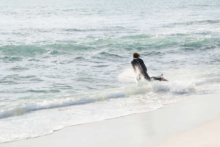 A surfer with his surfboard at the beachの写真素材