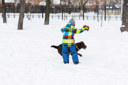 Kid of school age with dog in winter parkの写真素材