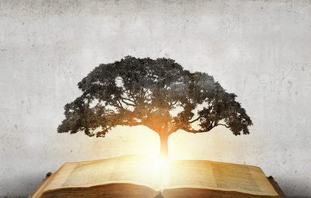 Concept of education and knowledge with tree growing from book