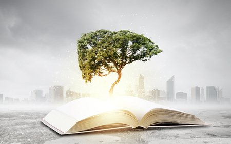 Concept of education and knowledge with tree growing from bookの写真素材