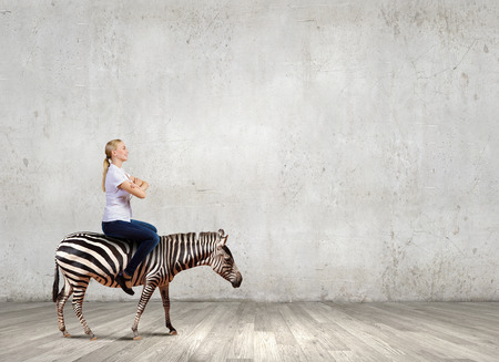 Young pretty fearless woman riding zebra animalの写真素材