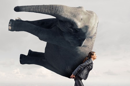 Young pretty elegant businesswoman lifting heavy elephantの写真素材
