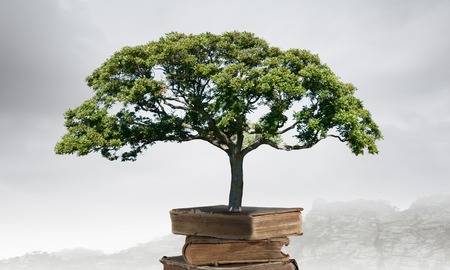 Conceptual image with green tree growing from bookの写真素材