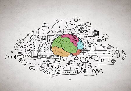 Sketch of human brain and business ideas and strategy on white backgroundの写真素材
