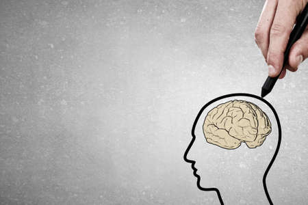 Close up of male hand drawing human brainの写真素材