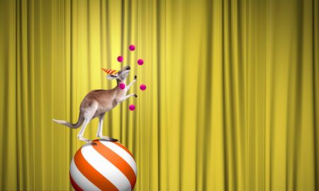 Circus animals standing in stack and balancing on ballの写真素材