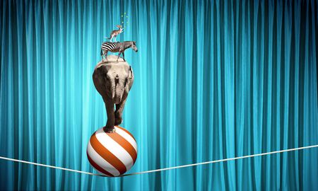 Circus animals standing in stack and balancing on ropeの写真素材