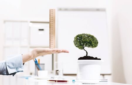 Close up of human hand measuring plant in pot with rulerの写真素材