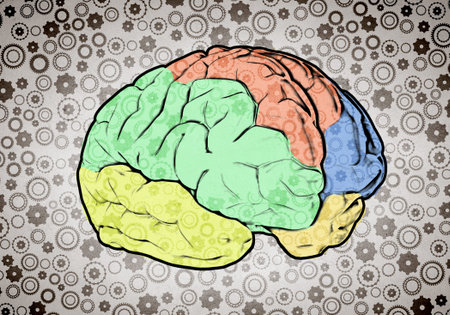 Sketch of human brain and business ideas and strategy on white background