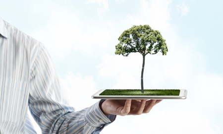 Human hand holding tablet pc with green tree on itの写真素材