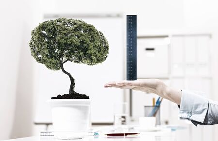 Close up of human hand measuring plant in pot with rulerの写真素材