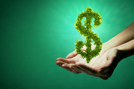 Close up of hands holding green dollar signの写真素材