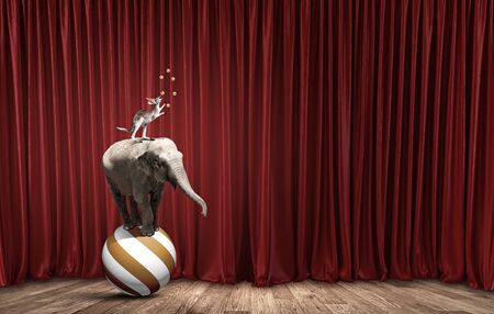 Circus animals standing in stack and balancing on ropeの写真素材