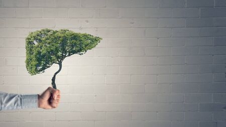 Close up of hand holding green tree conceptの写真素材