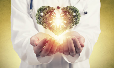 Close up of female doctor holding green tree in handsの写真素材