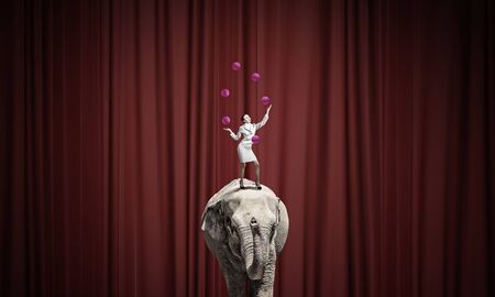 Young businesswoman standing on elephant and juggling with ballsの写真素材