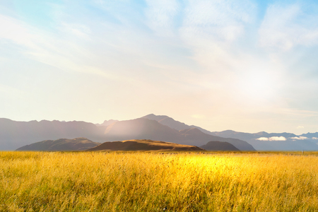 Natural landscape of summer field and high mountainの写真素材