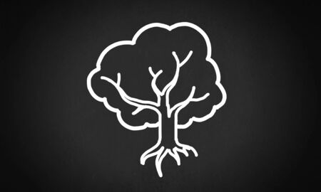 Close up of businessman hand holding drawn tree signの写真素材