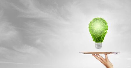 Environmental concept with hand hold tray with green treeの写真素材