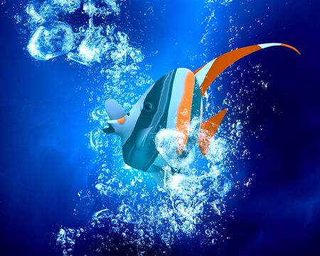 Exotic tropical fish in clear crystal blue water