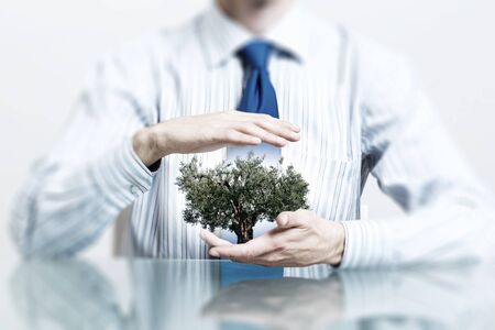 Businessman hands holding with care green tree conceptの写真素材