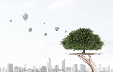 Environmental concept with hand hold tray with green treeの写真素材