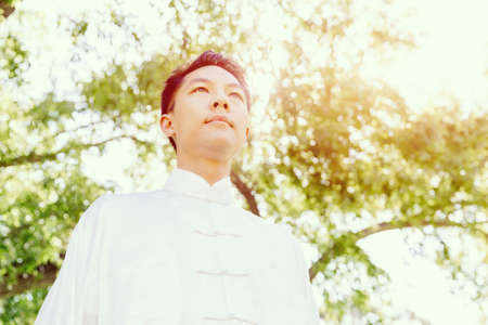 Handsome man practicing thai chi in the park in the summertimeの写真素材