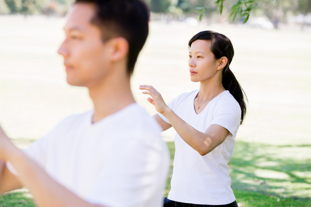 People practicing thai chi in the park in the summertimeの写真素材