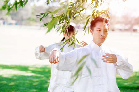 People practicing thai chi in the park in the summertime