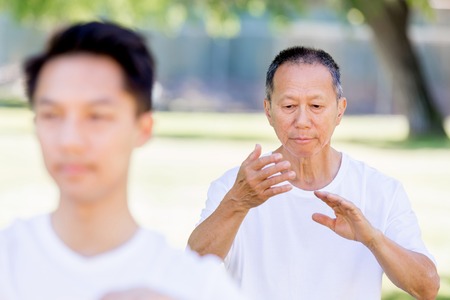 People practicing thai chi in the park in the summertimeの写真素材