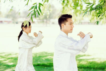 People practicing thai chi in the park in the summertimeの写真素材