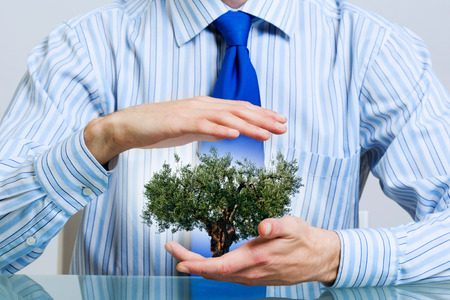 Businessman hands holding with care green tree conceptの写真素材