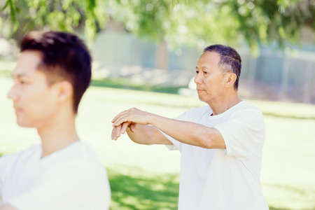 People practicing thai chi in the park in the summertimeの写真素材