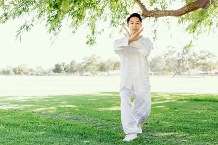 Handsome man practicing thai chi in the park in the summertime
